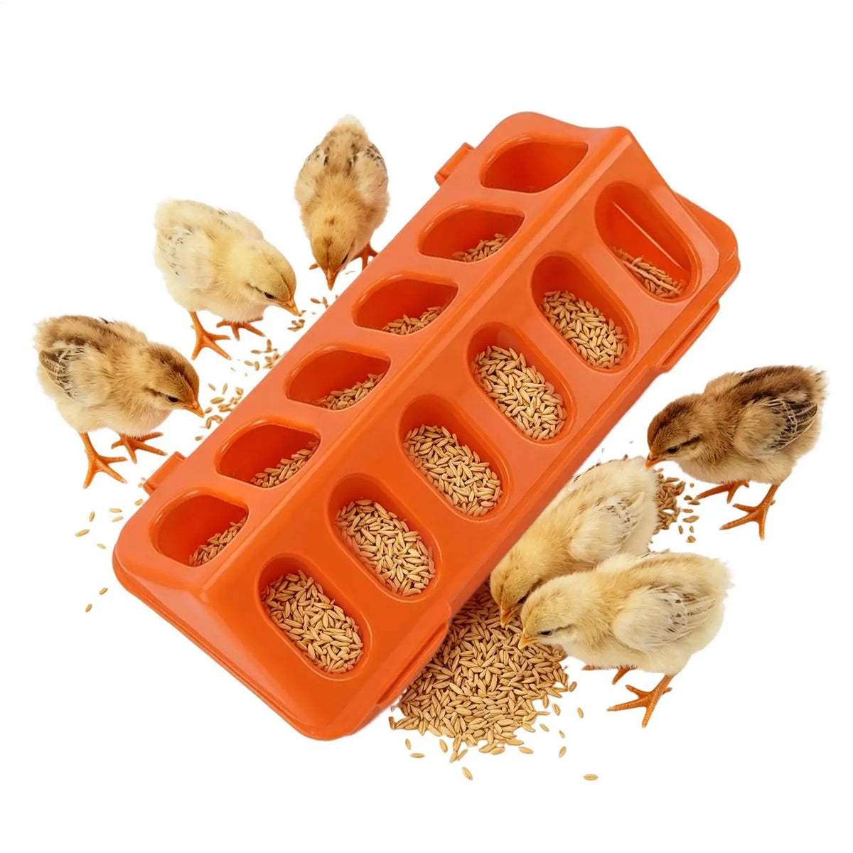 12-Hole Spill-Proof Poultry Feeder for Chicks, Ducks & Birds
