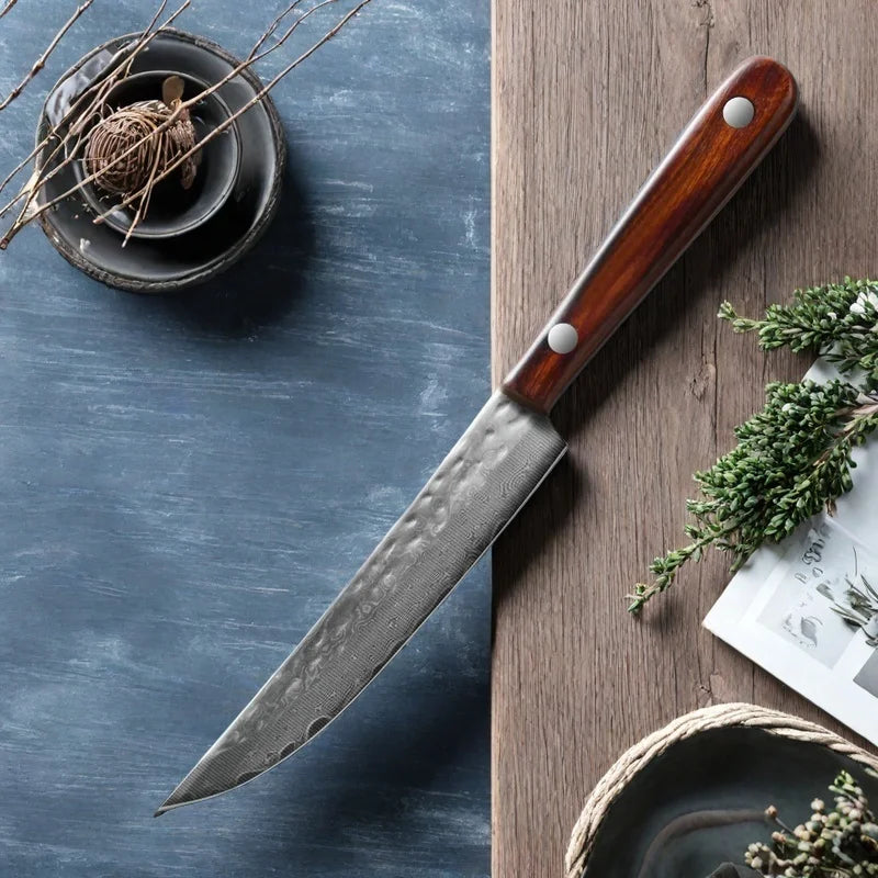 67-Ply Damascus Steel Paring Knife – Wood Handle | 22cm