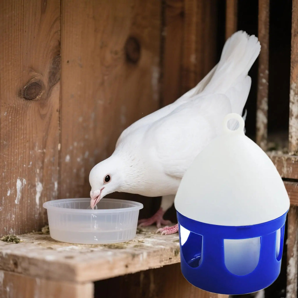 Pigeon Water Feeder Bird Dispenser Removable Spill-proof Waterer