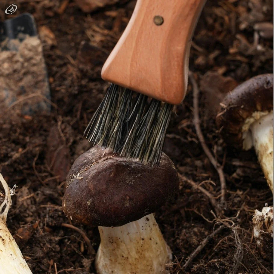 Mushroom Foraging Folding Knife – Rosewood Handle & Brush EDC