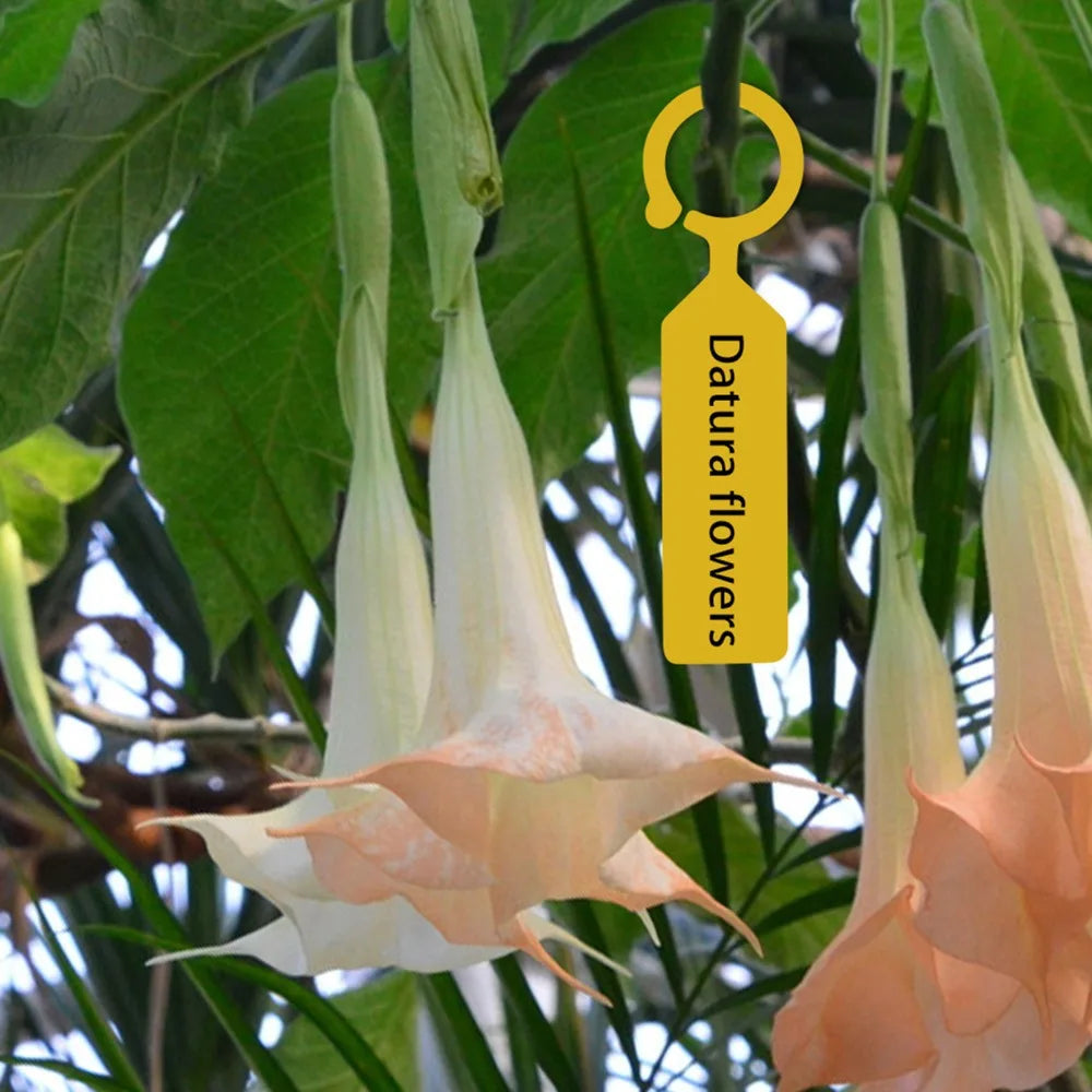 200PCS Reusable Plastic Plant Labels | Writable Nursery Tags