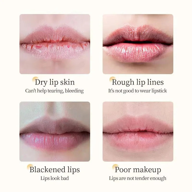 Vitamin E & Honey Lip Balm – Moisturizing Nourishing Lip Care