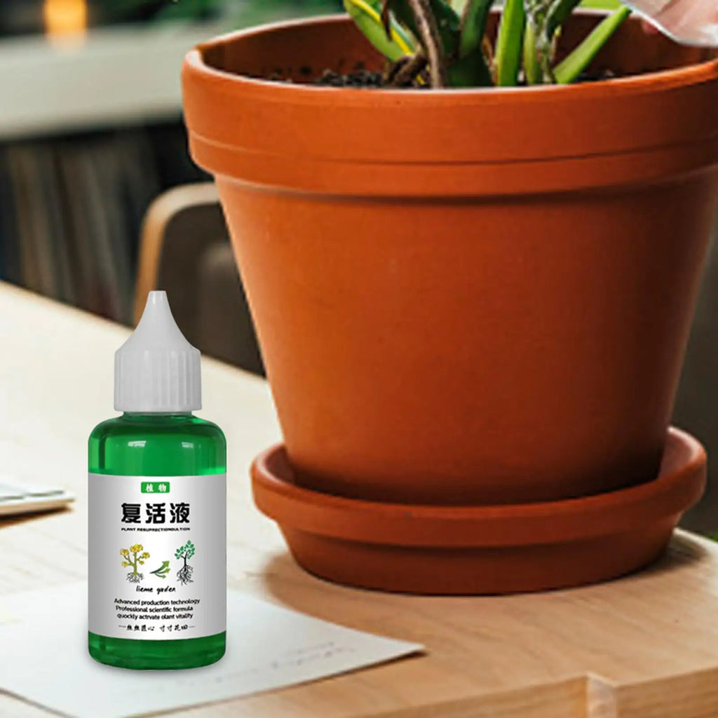 Plant Nutrient Solution 50ml – Organic Liquid Fertilizer for Plants