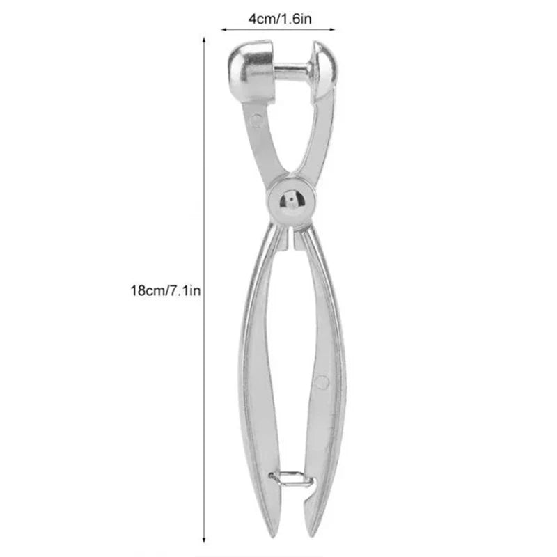Cherry Pitter & Fruit Pit Remover | Stainless Steel Tool