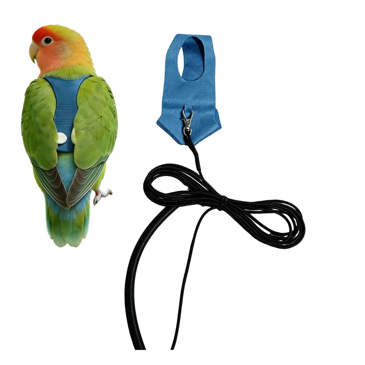 Bird Harness & Leash Kit for Parakeet Parrot Cockatiel Training
