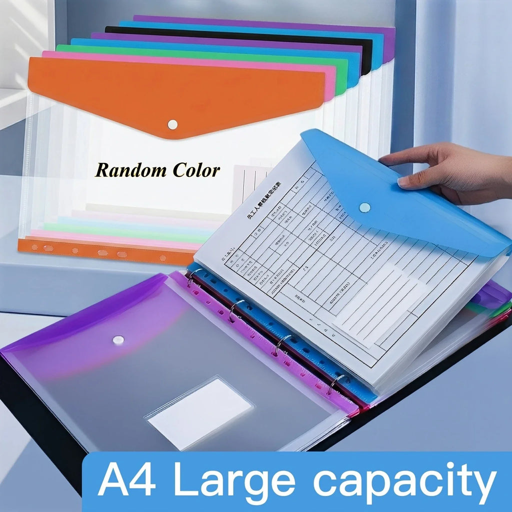 24-Pack A4 Ring Binder Folders – Heavy-Duty PP File Organizers