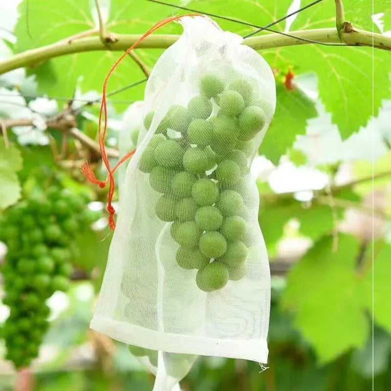 Garden Farm Nylon Net Bags Ideal Fruit Protection Insect Exclusion