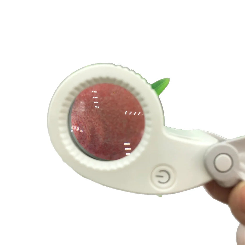 Magnifier Charging Portable Creative Folding 40X 60X White Light