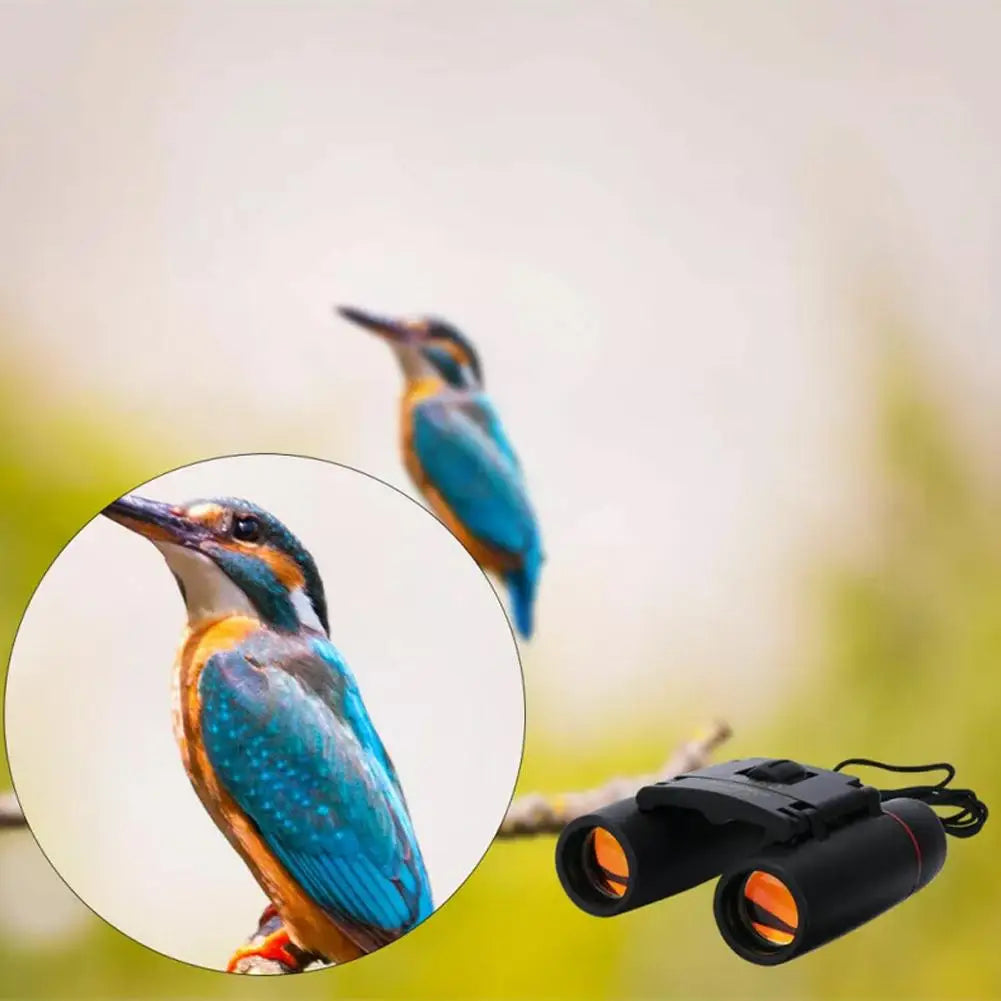 30x60 HD Folding Binoculars – Low Light & Bird Watching