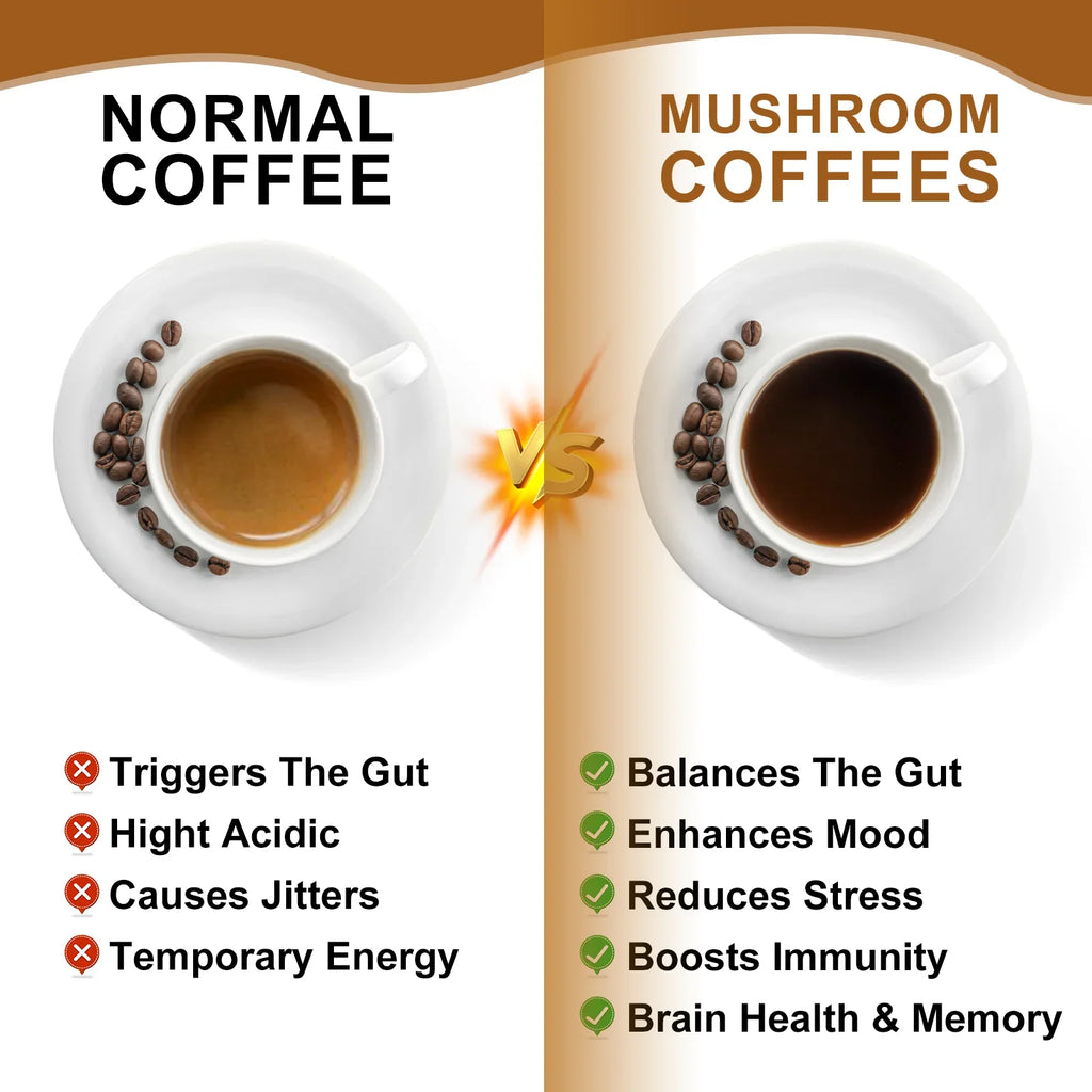 Beworths 10-in-1 Mushroom Coffee Powder 120g | Focus & Immunity