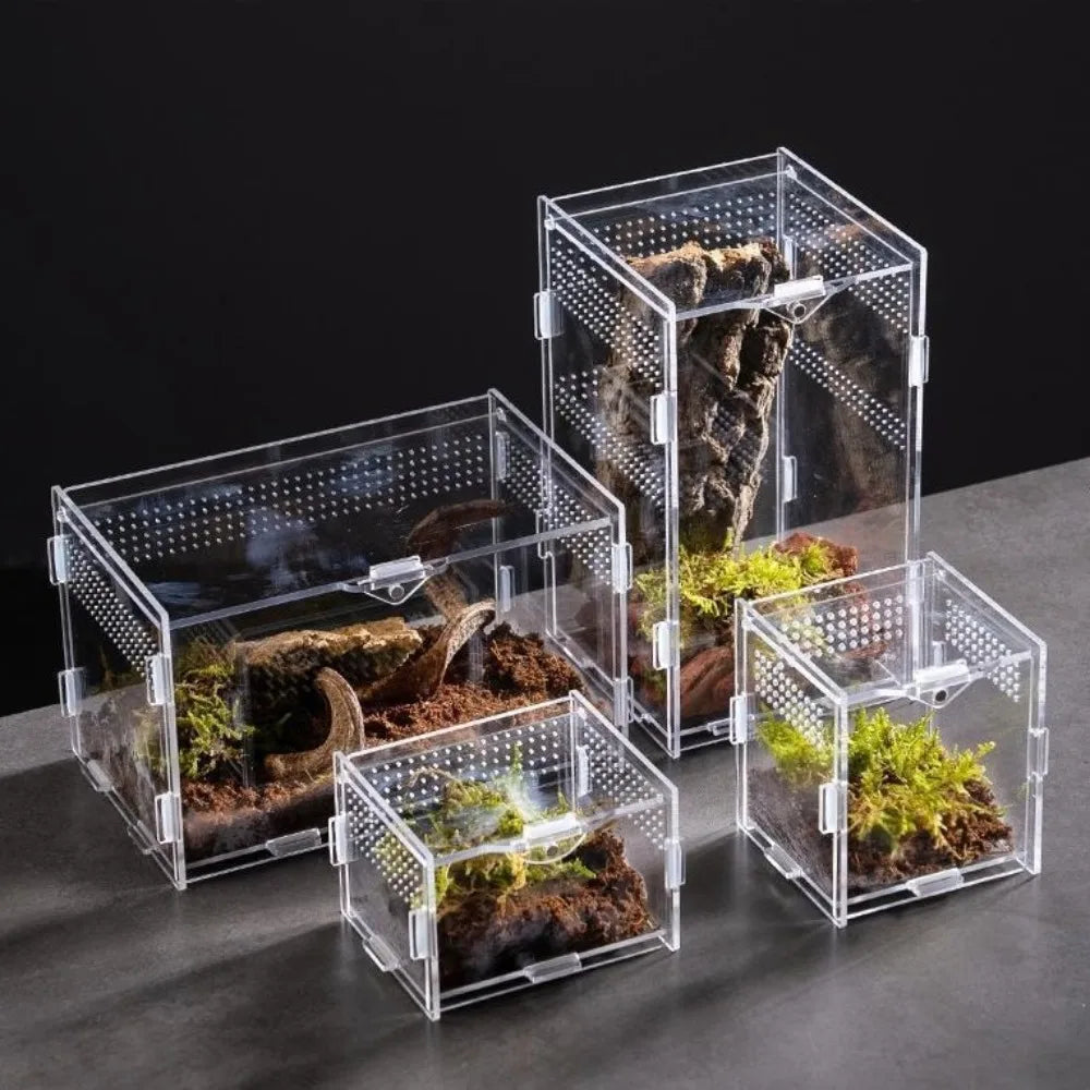 Durable Acrylic Reptile Habitat Clear Multiple Spider Feeding Case