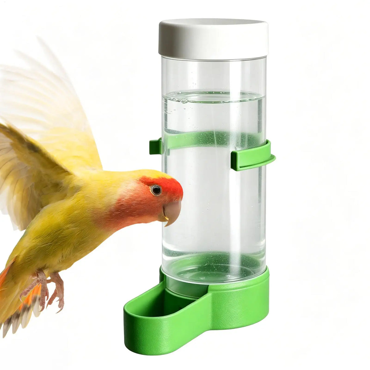 Parakeet Water Dispenser Automatic Leak-proof Clear Waterer Indoor