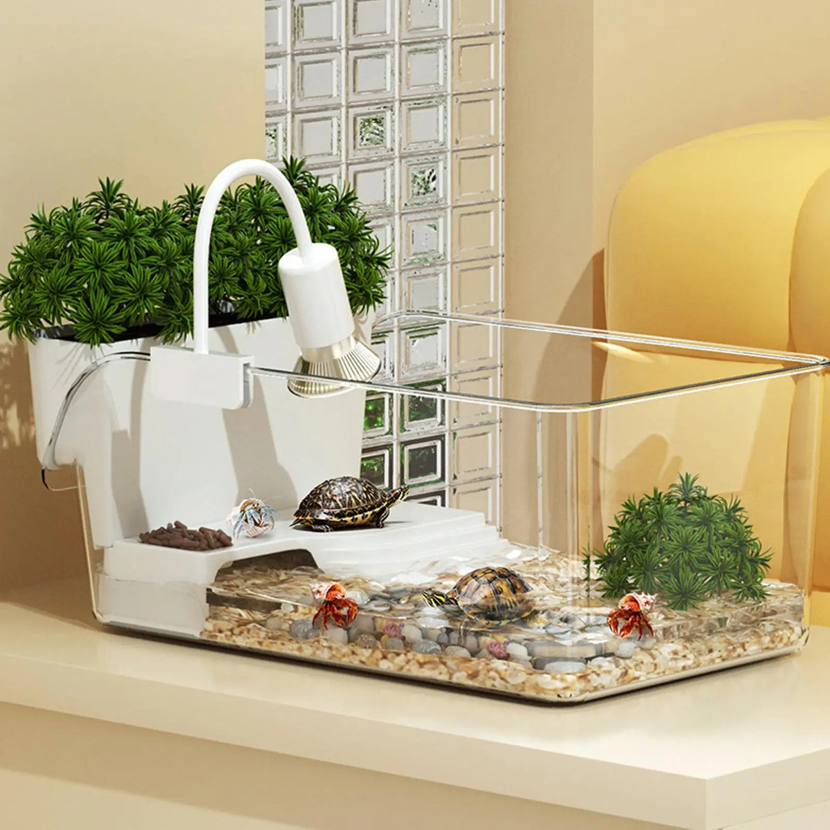 Aquatic Turtle Tank Reptile Habitat Box Transparent Small Tortoise