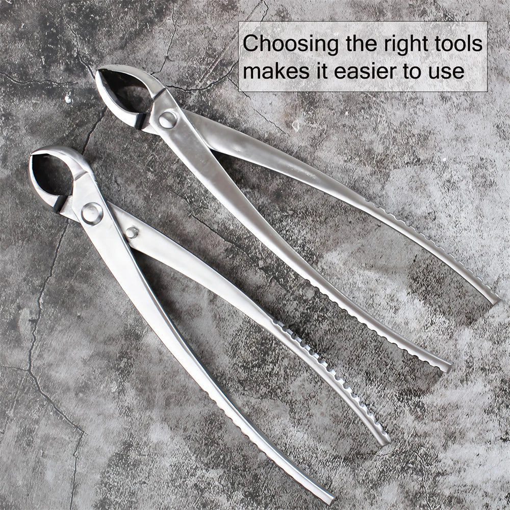 Bonsai Ball Shear Round Pruning Scissors Garden Tool