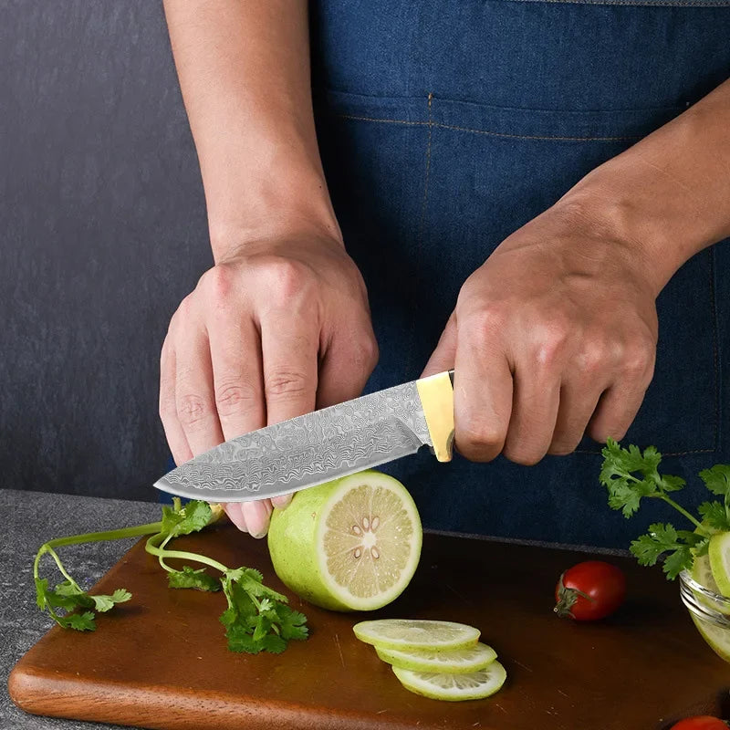 Damascus VG10 Steel Kitchen Knife – Wood Handle | InLeung