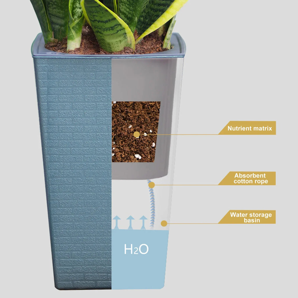 Self Watering Planter Pot for Succulents & House Plants