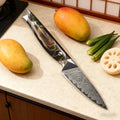 Paring Knife – Sharp Steel Fruit & Vegetable Peeling Knife