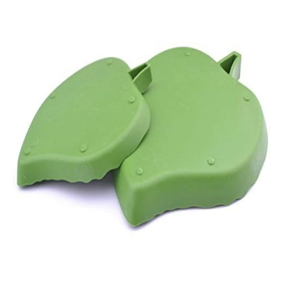 Leaf Reptile Food Water Bowl Flat Drinking Eating Dish Tortoise