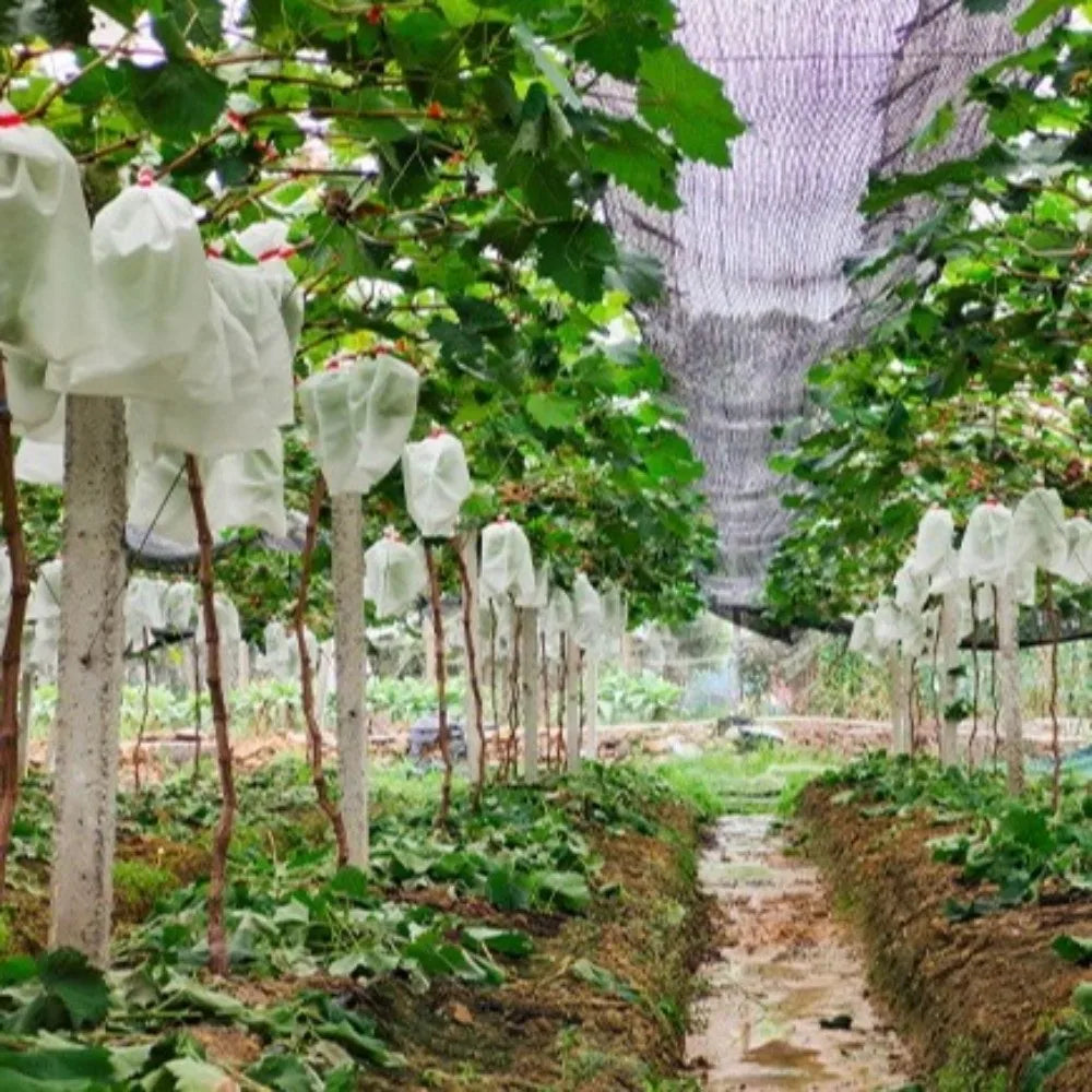 100-Pack Non-Woven Fruit Protection Bags | Breathable Garden Mesh