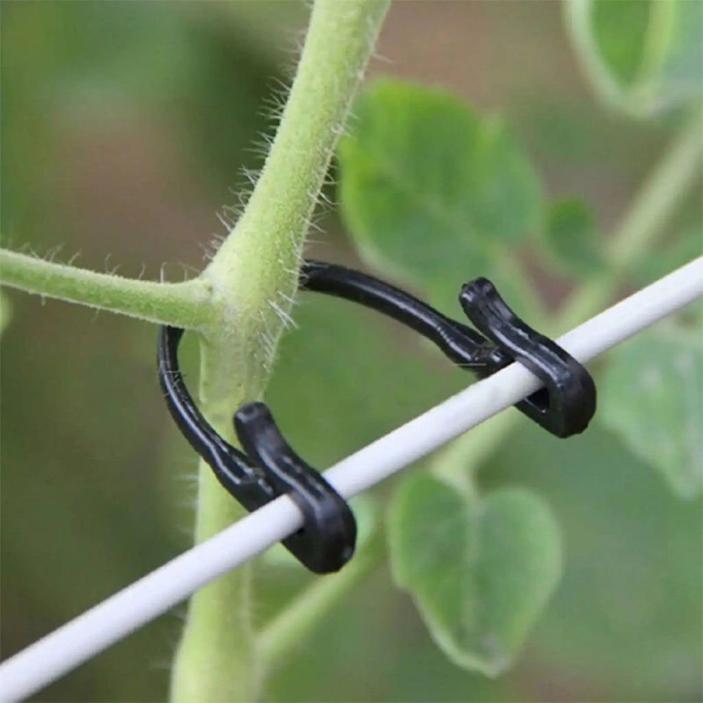 50pcs Heavy-Duty Trellis Clips – Garden Plant Support Clips