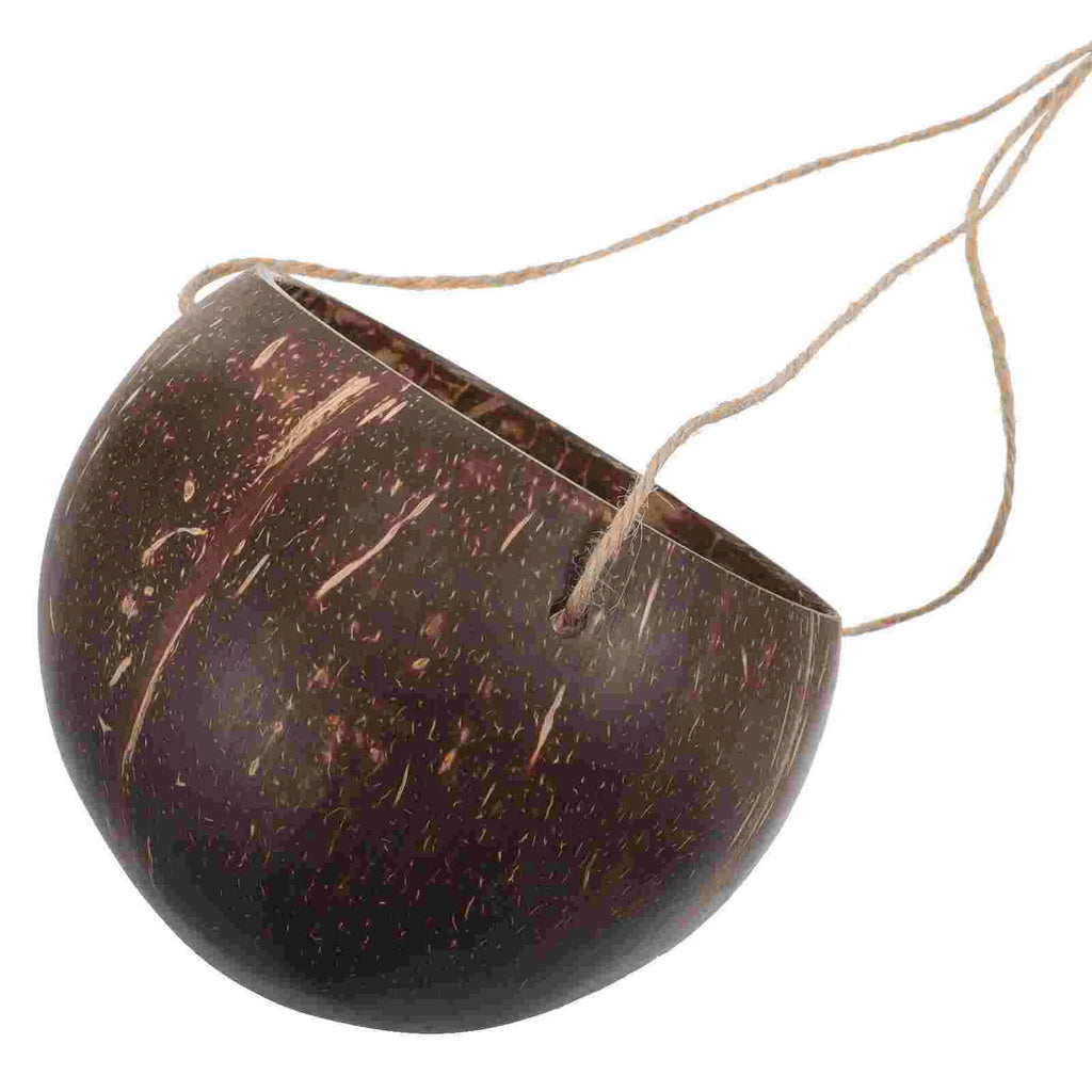Large Hanging Planter Coconut Shell Flowerpot Wall Mounted Basket