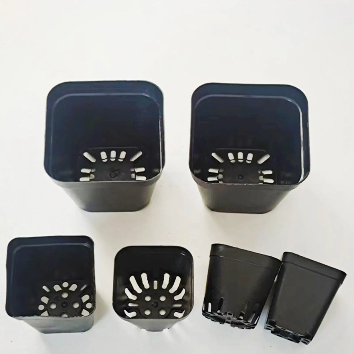 50-Pack Black Seedling Starter Pots with Drainage Holes