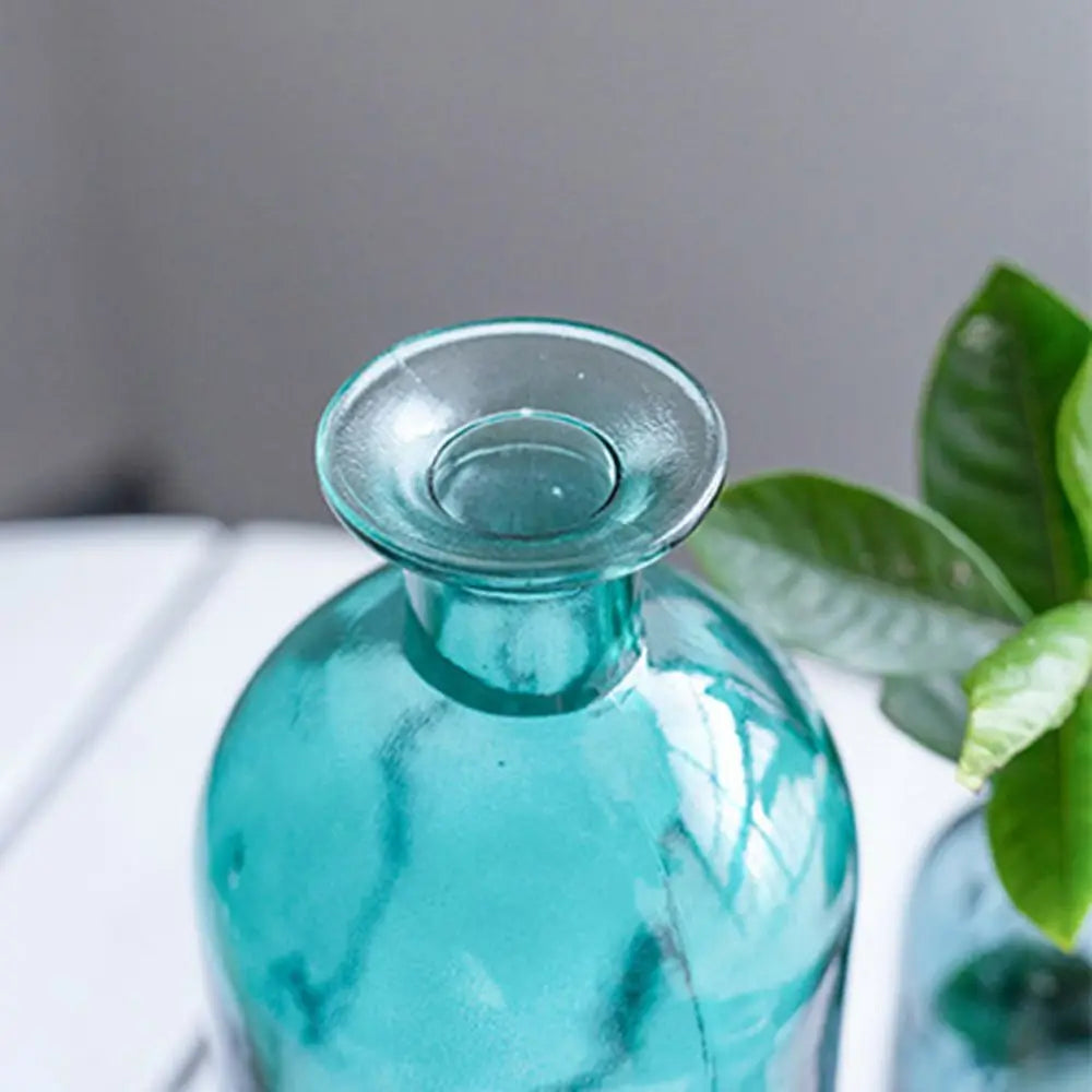 Transparent Glass Flower Vase | Modern Hydroponic Table Decor