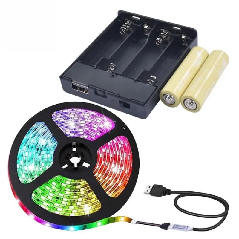 4AA Battery Holder Box with USB Output for LED Strip Lights