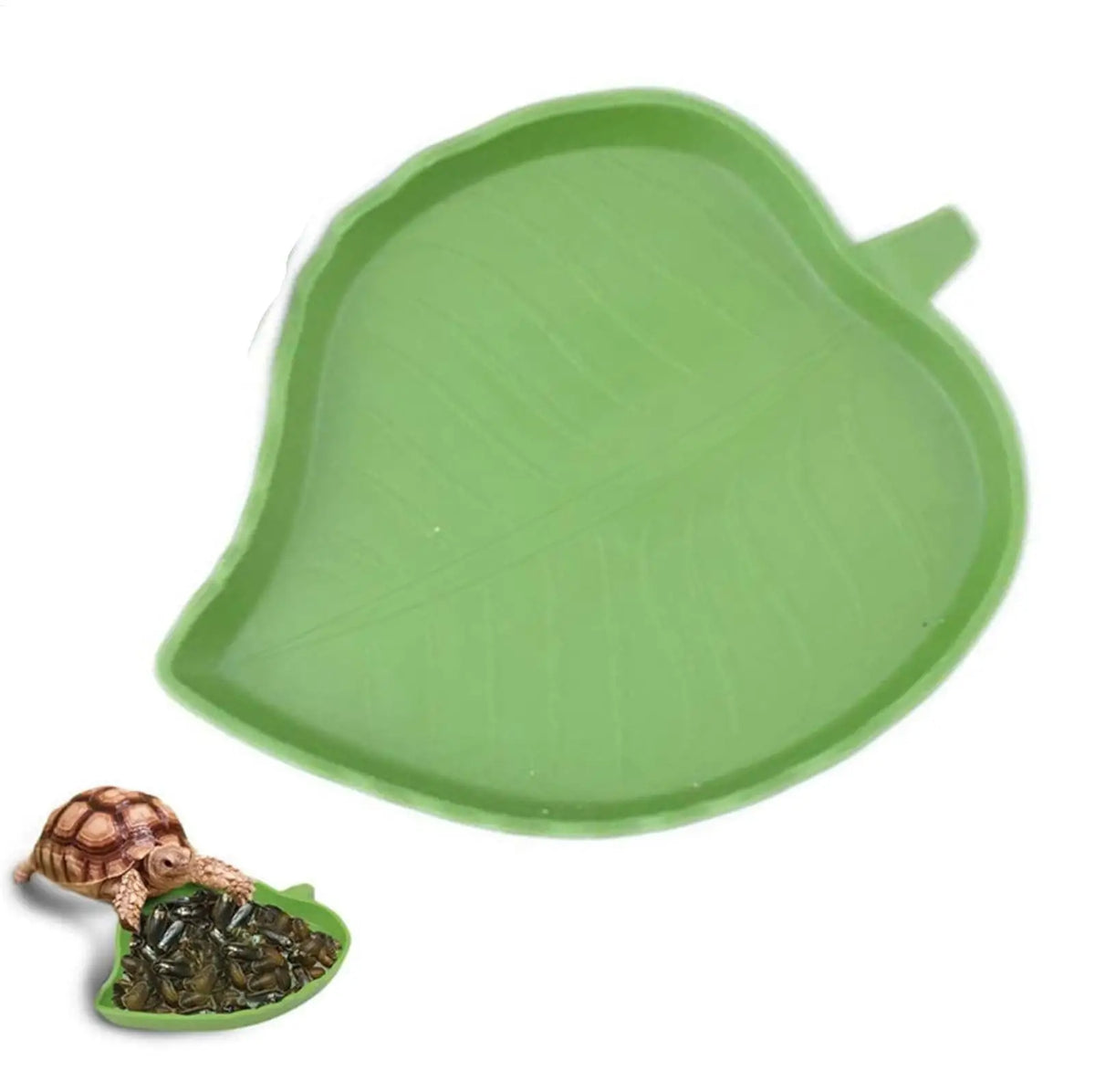 Leaf Reptile Food Water Bowl Flat Drinking Eating Dish Tortoise