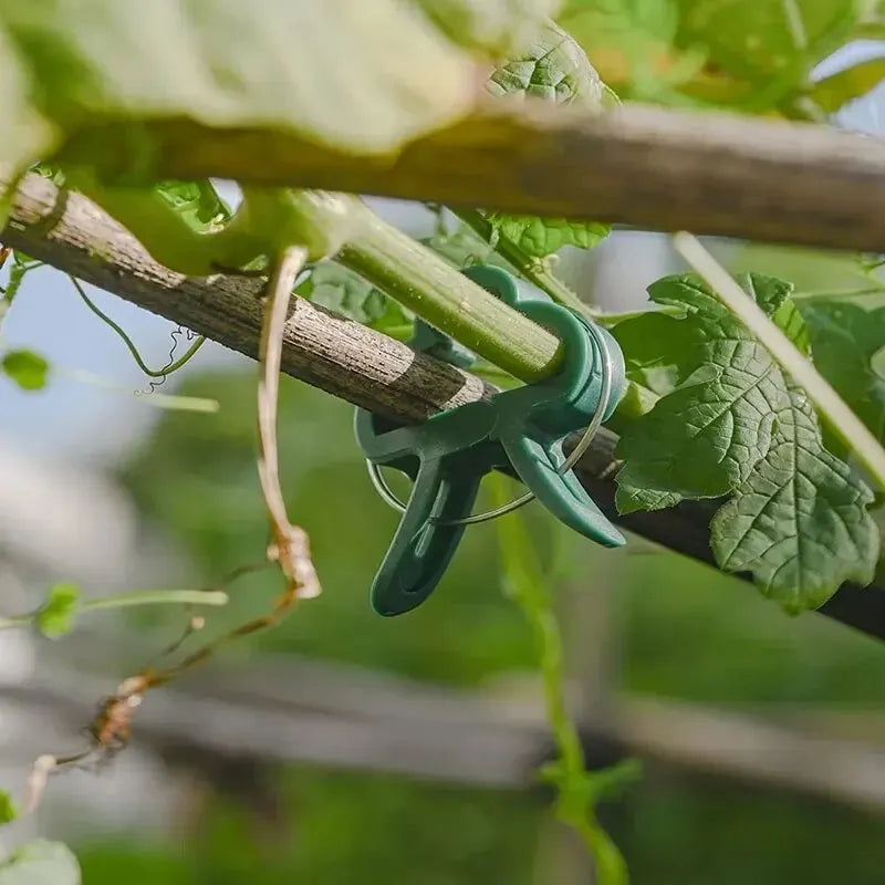 Reusable Plant Support Clips – Tomato, Vine & Flower Garden Ties