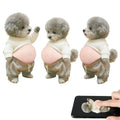 Shiba Inu 3D Silicone Stress Relief Stickers – Cute Dog Decor 3-Pack