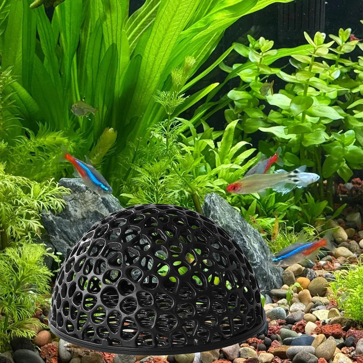 Aquarium Shrimp Cave | Betta Fish Hiding Shelter & Tank Decor
