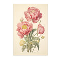 Vintage Botanical Peony Canvas Print | Pink Floral Wall Art