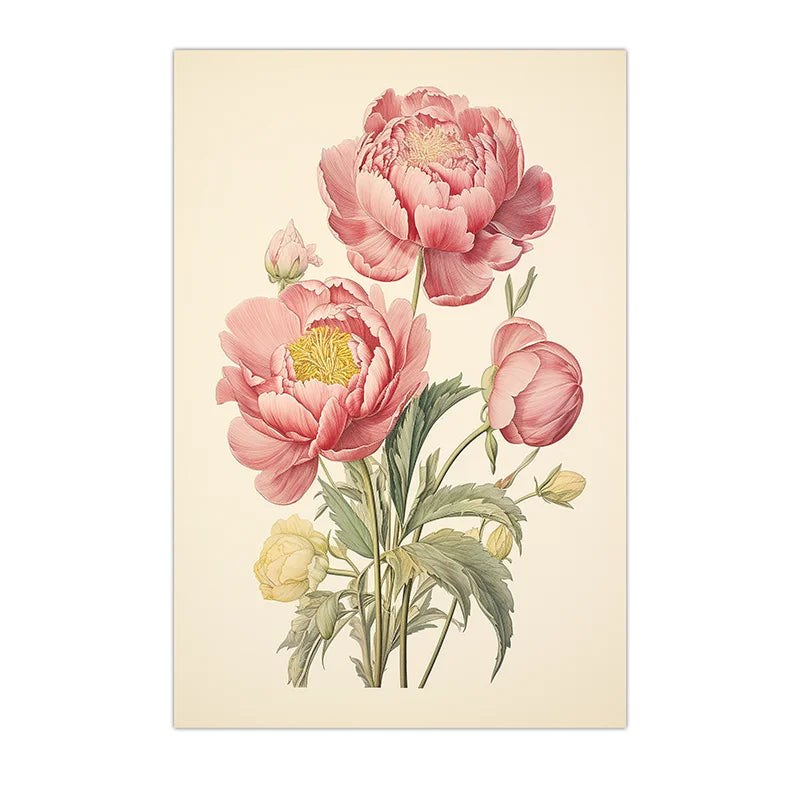 Vintage Botanical Peony Canvas Print | Pink Floral Wall Art