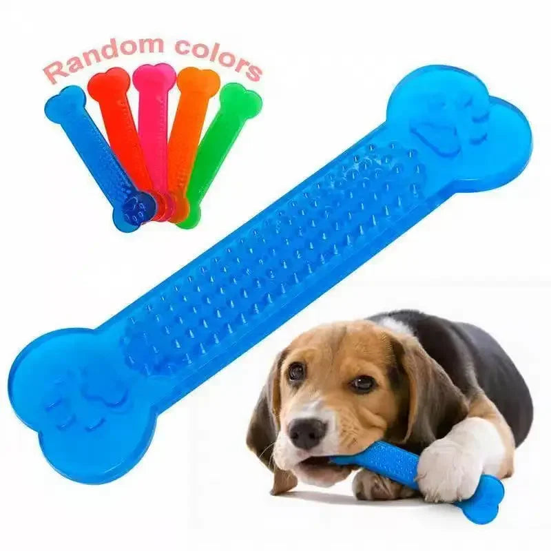 Indestructible Rubber Bone Chew Toy & Toothbrush for Dogs