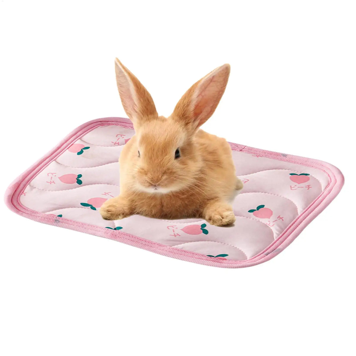 Pet Cooling Mat for Cats & Small Dogs | Summer Ice Silk Pad