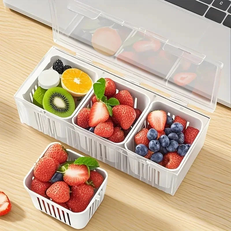 Compartment Bento Box Set – Transparent Food Storage Containers