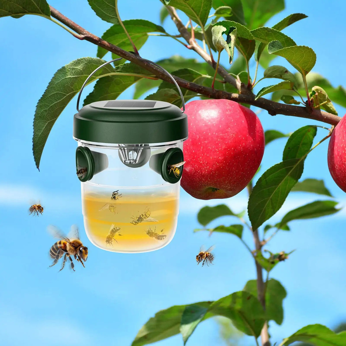 Solar Wasp & Hornet Trap – Reusable Outdoor Hanging Catcher