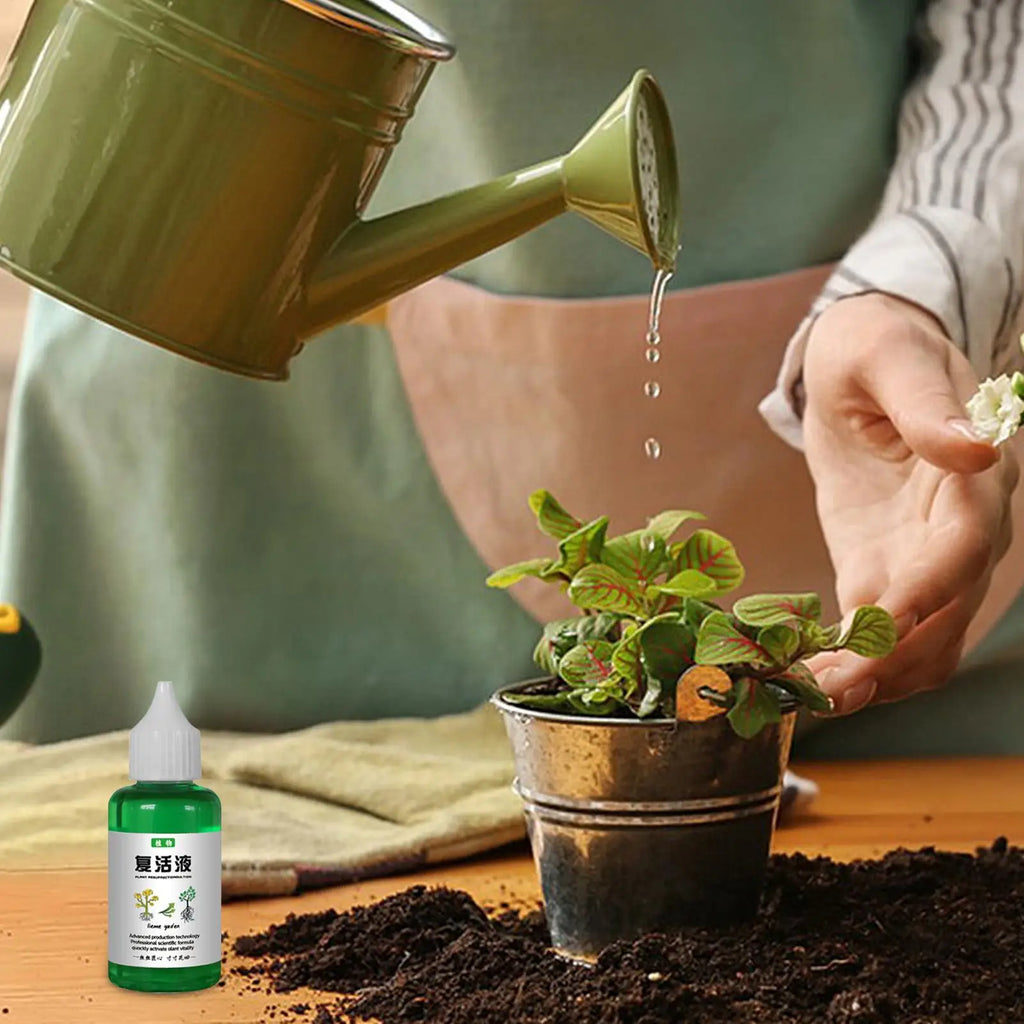 Plant Nutrient Solution 50ml – Organic Liquid Fertilizer for Plants