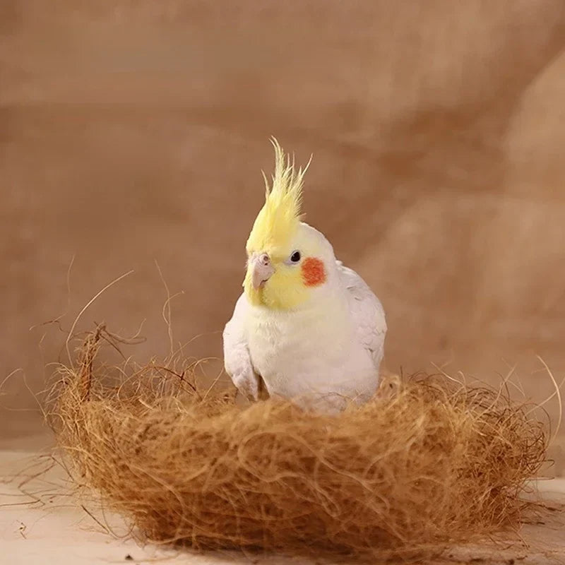 Coconut Fiber Bird Nesting Material – Canaries & Finches