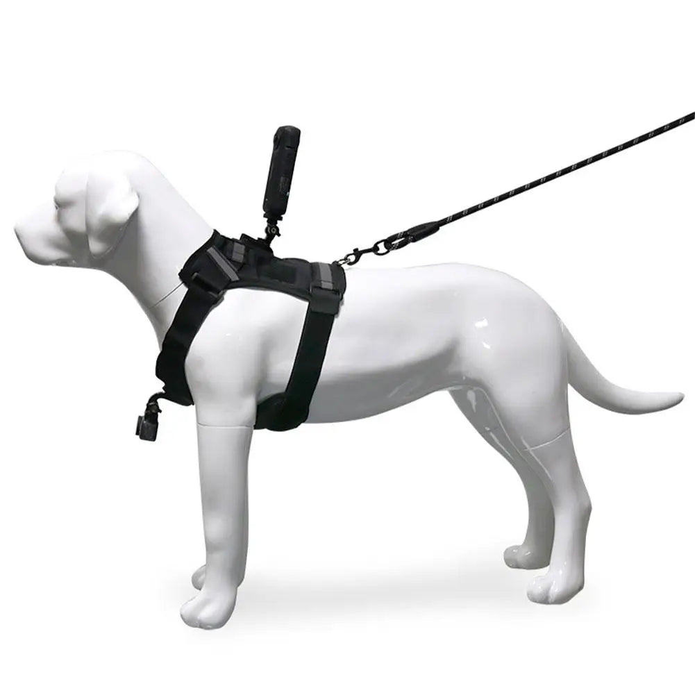 Pet Action Camera Harness Mount – GoPro, DJI & Insta360
