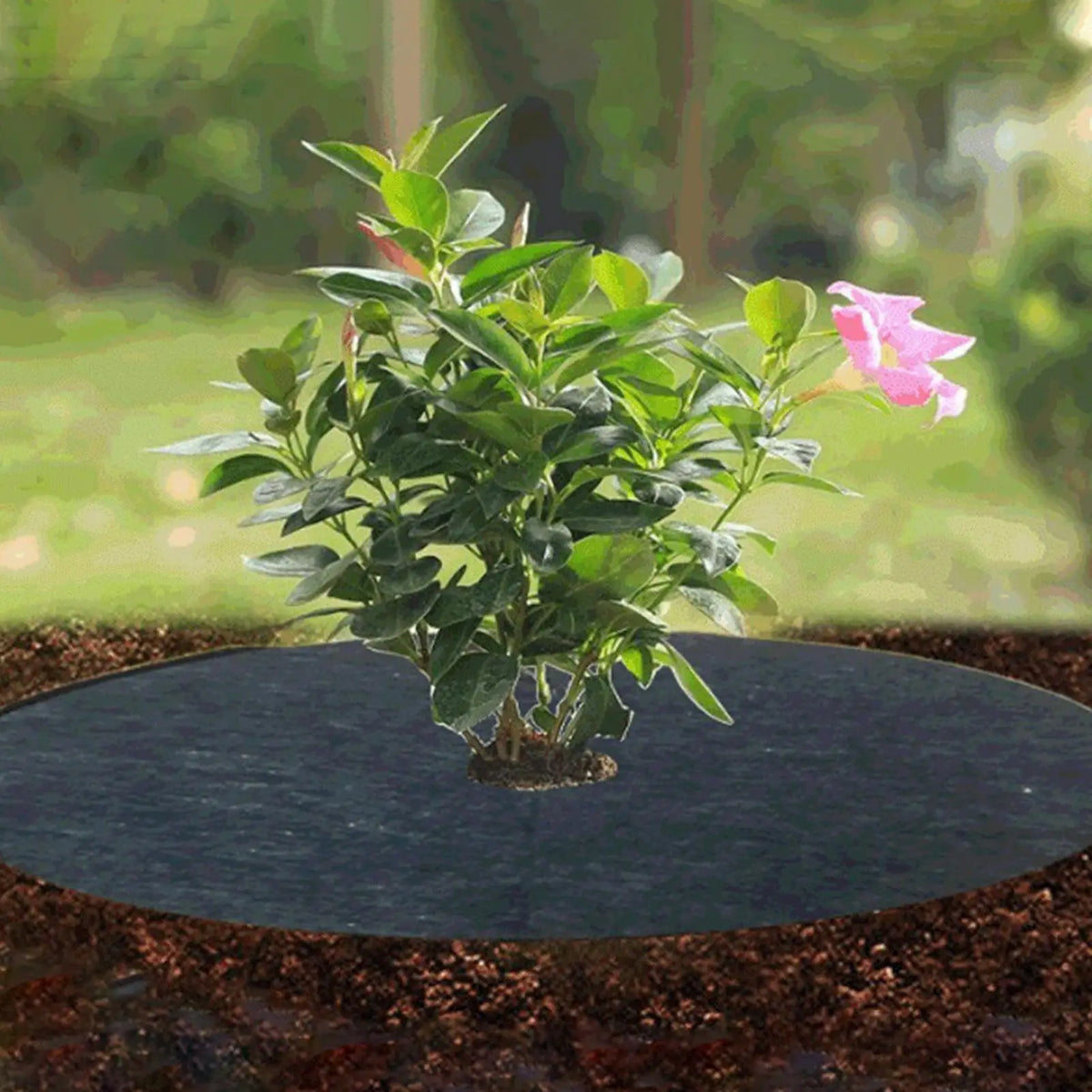 10-Pack Non-Woven Tree Mulch Rings | Weed Barrier Mats