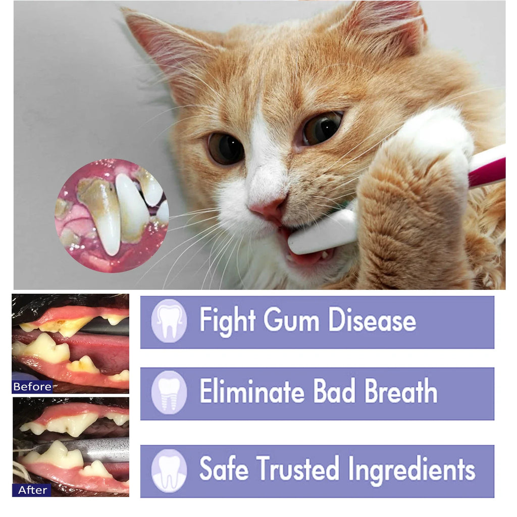 YEGBONG Pet Toothpaste – Dog & Cat Whitening Oral Care 50g