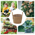 Woven Seagrass Plant Basket with Handle | Indoor & Outdoor