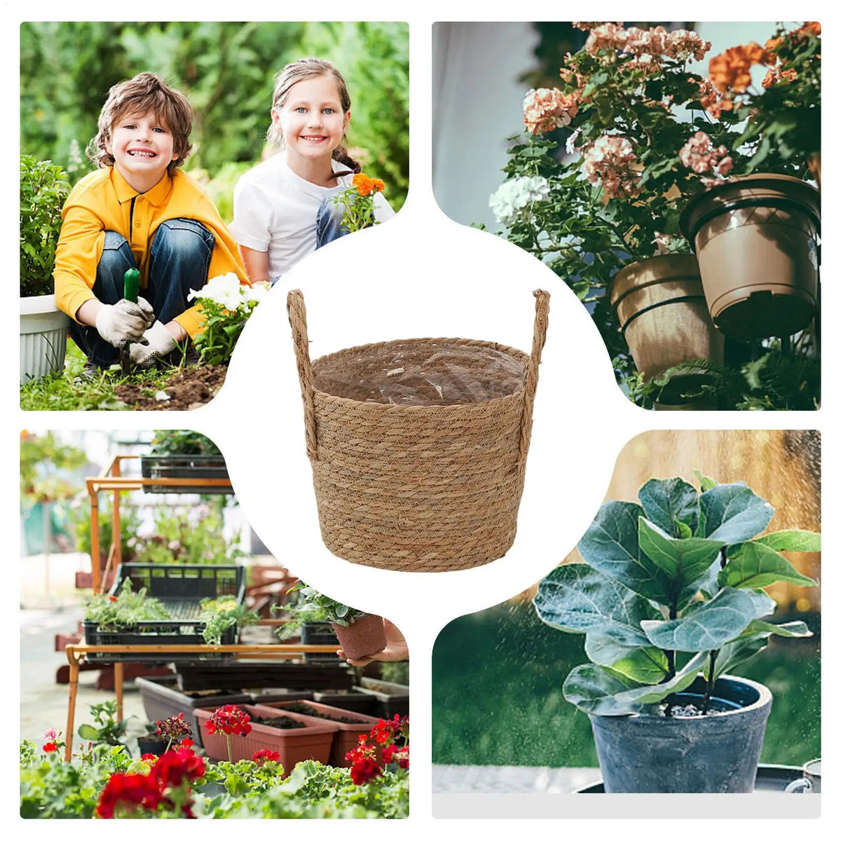 Woven Seagrass Plant Basket with Handle | Indoor & Outdoor