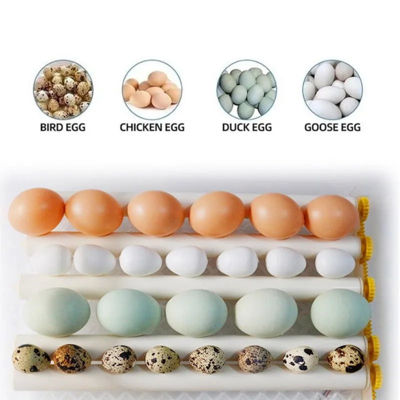 Automatic 16-Egg Incubator – Auto Turner & Poultry Hatcher