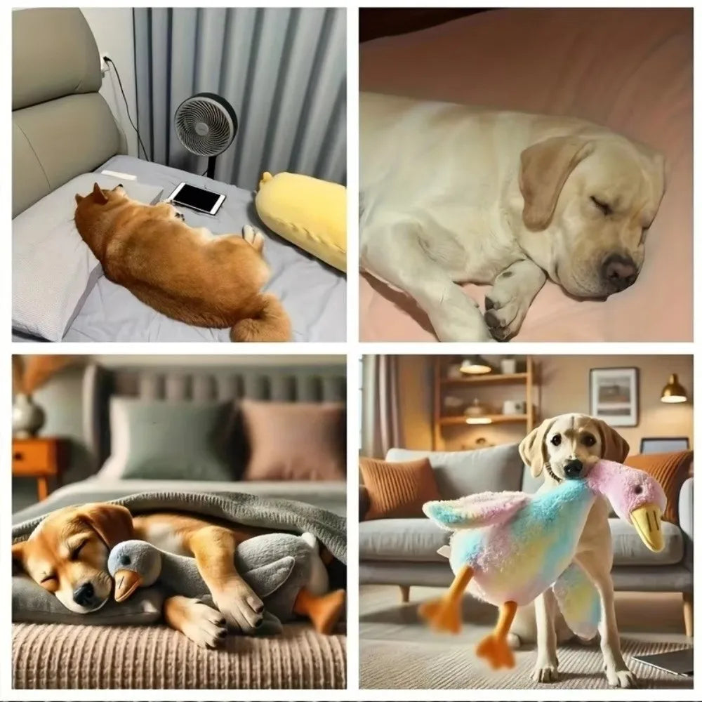 Cute Energy Release Duck Dogs Toy Goose Dolls Colorful Pet Companion