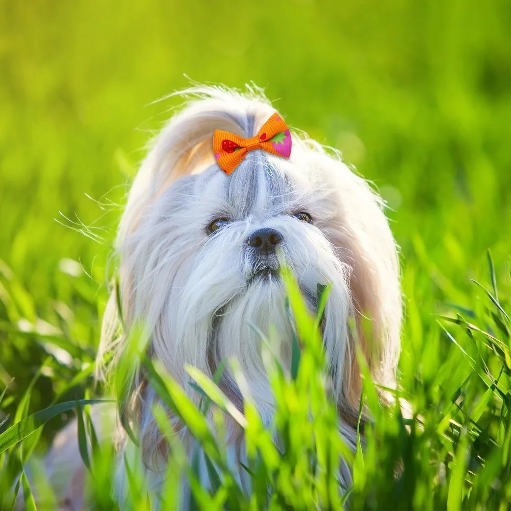 10-Pack Cute Puppy Bow Hair Accessories for Dogs & Cats
