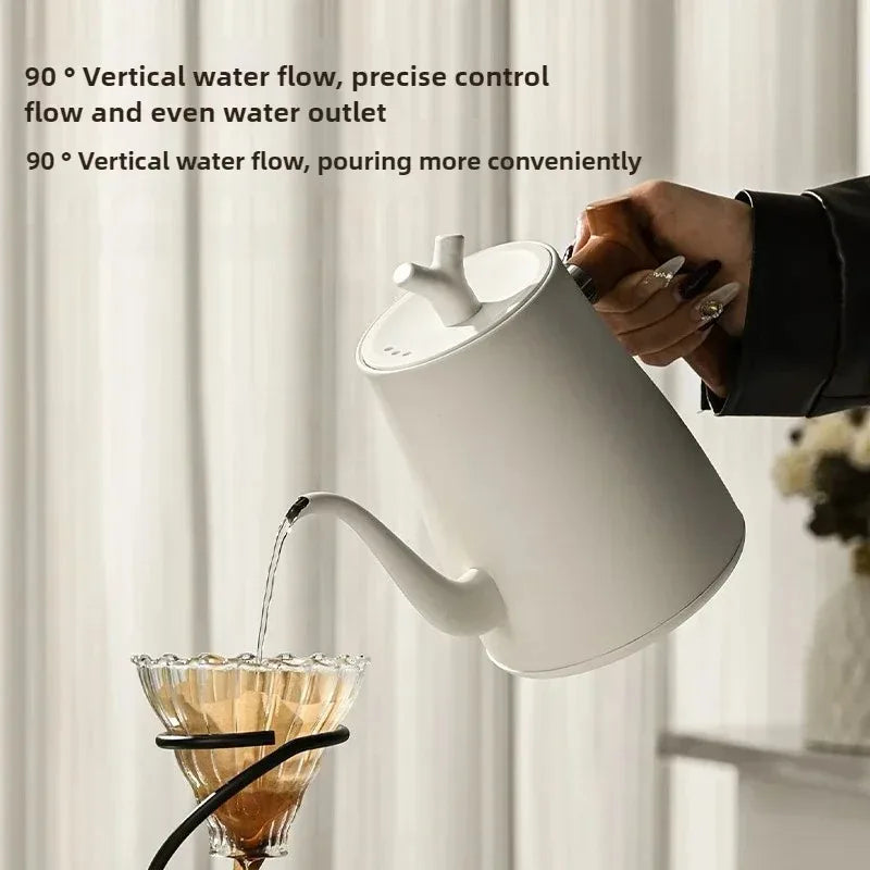1000W Gooseneck Electric Kettle 1L | LED Temp Control, Stainless