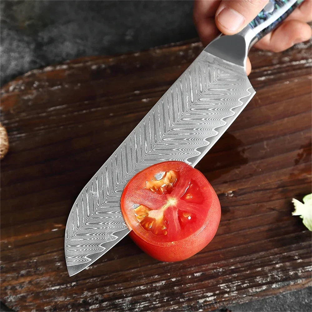 Santoku Knife – 67-Layer Damascus Steel Kitchen Knife